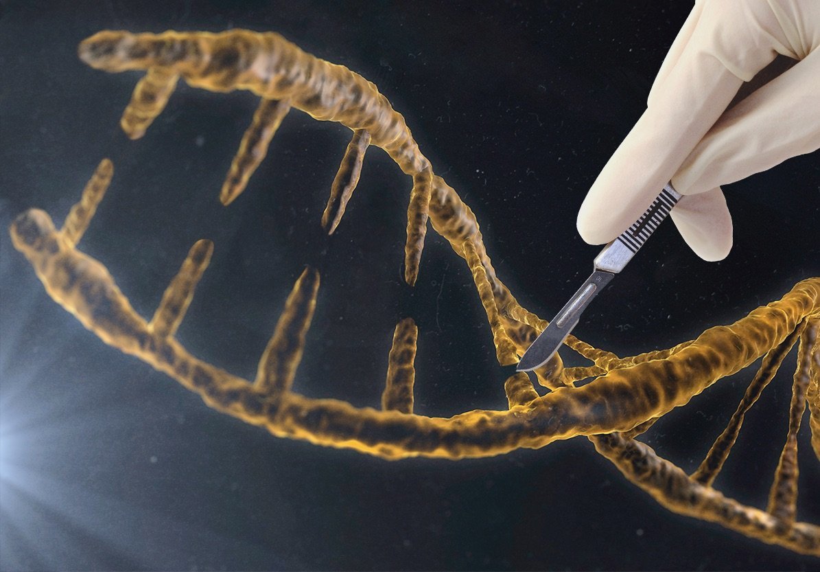 培養肌肉發達的動物，從基因上改變人類胚胎以及彌補器官移植的缺陷。專家首次發現了一種可以改變DNA的簡單方法。