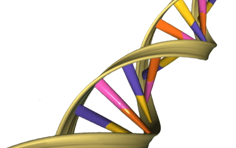 生活商機-生技醫療動態-幸福是不是在你的DNA中