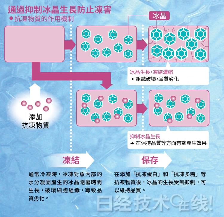 冷凍技術革新食物不再乾乾巴巴 Stockfeel 股感