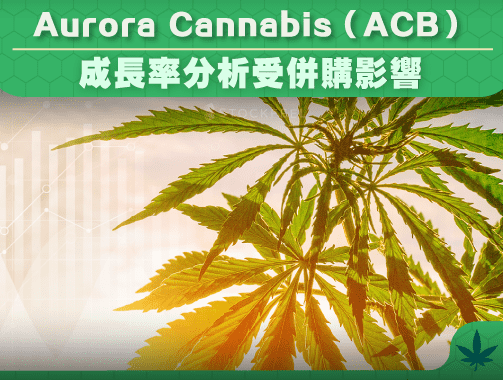 Aurora Cannabis Acb 成長率分析受併購影響 Stockfeel 股感