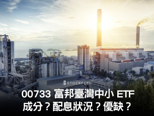 00733 富邦臺灣中小 ETF｜成分股？配息？選股策略？.jpg