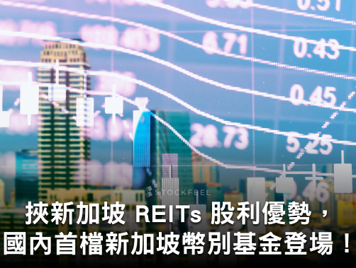 挾新加坡 REITs 股利優勢，國內首檔新加坡幣別基金登場！.jpg