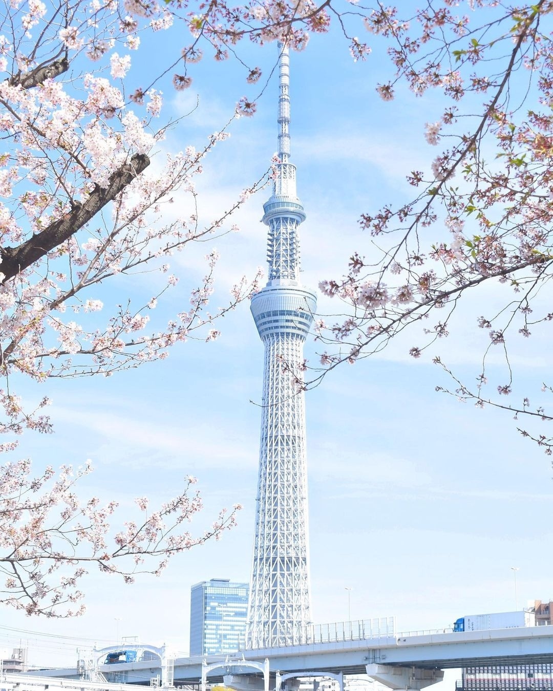 日本景點 東京都