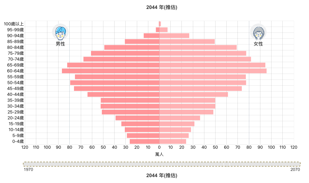 外籍移工  2044人口金字塔