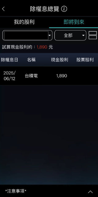股息再投入 除權息總覽