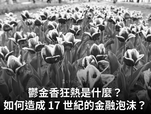 鬱金香狂熱是什麼？鬱金香狂熱如何引發 17 世紀的金融泡沫？.jpg