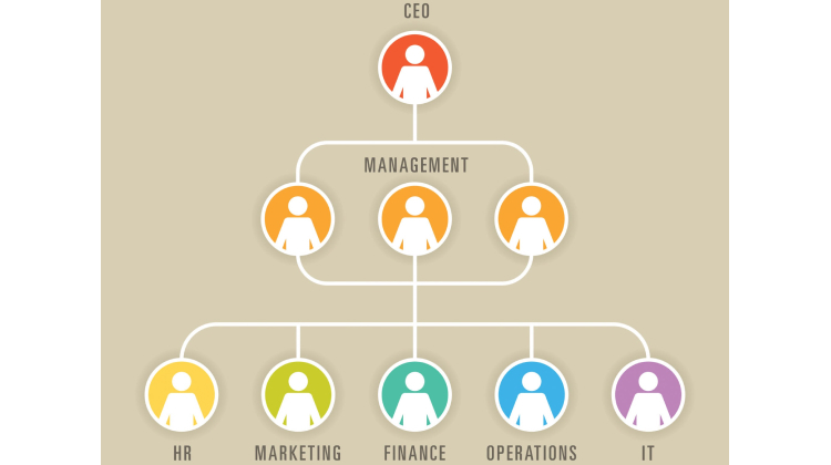 2026波克夏股東信 組織建構