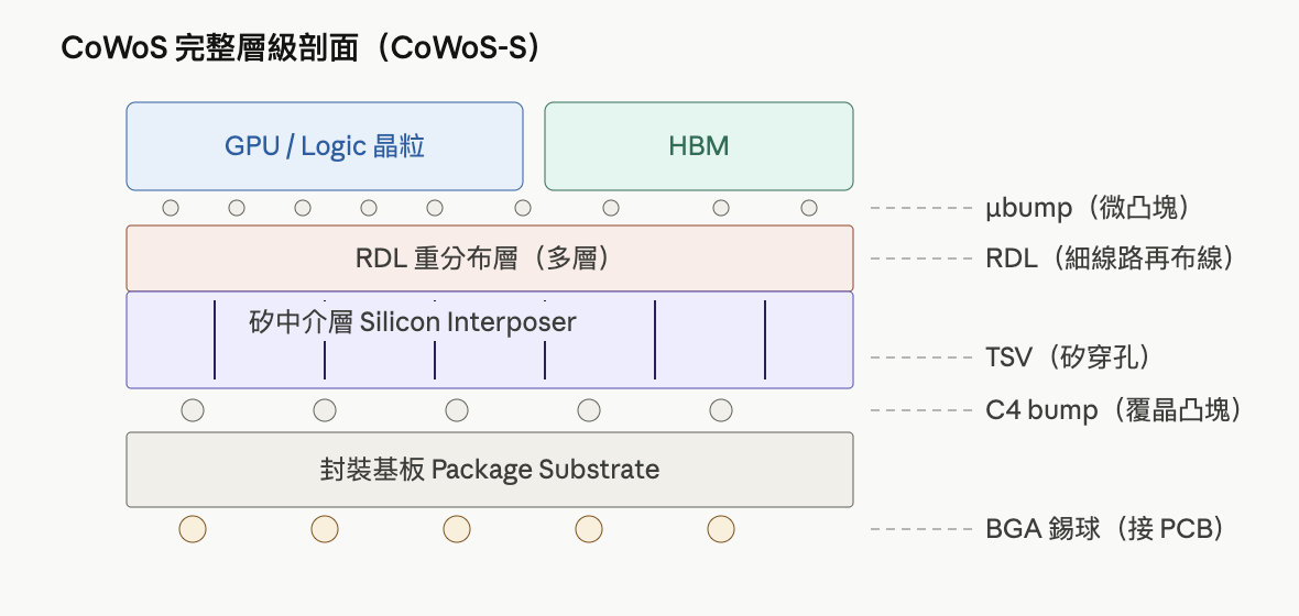 CoWoS剖面圖